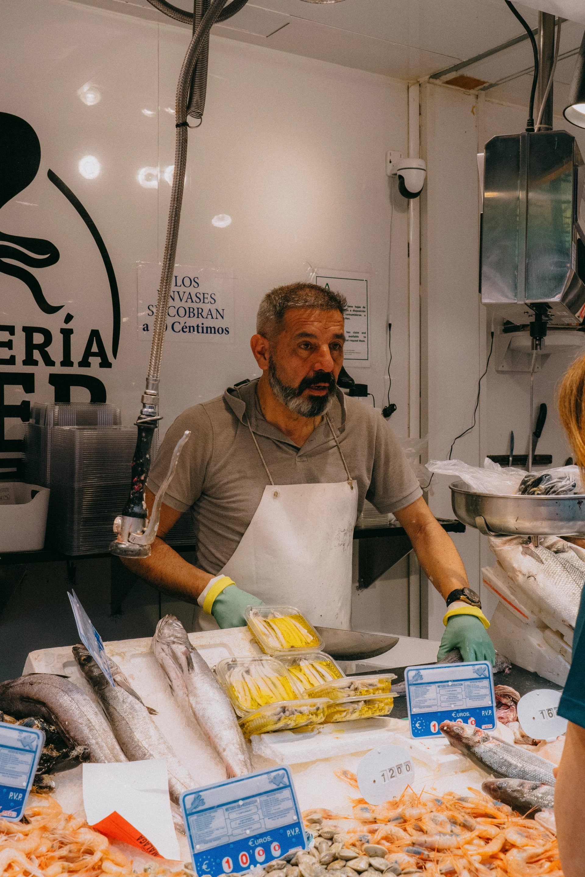 malaga-8