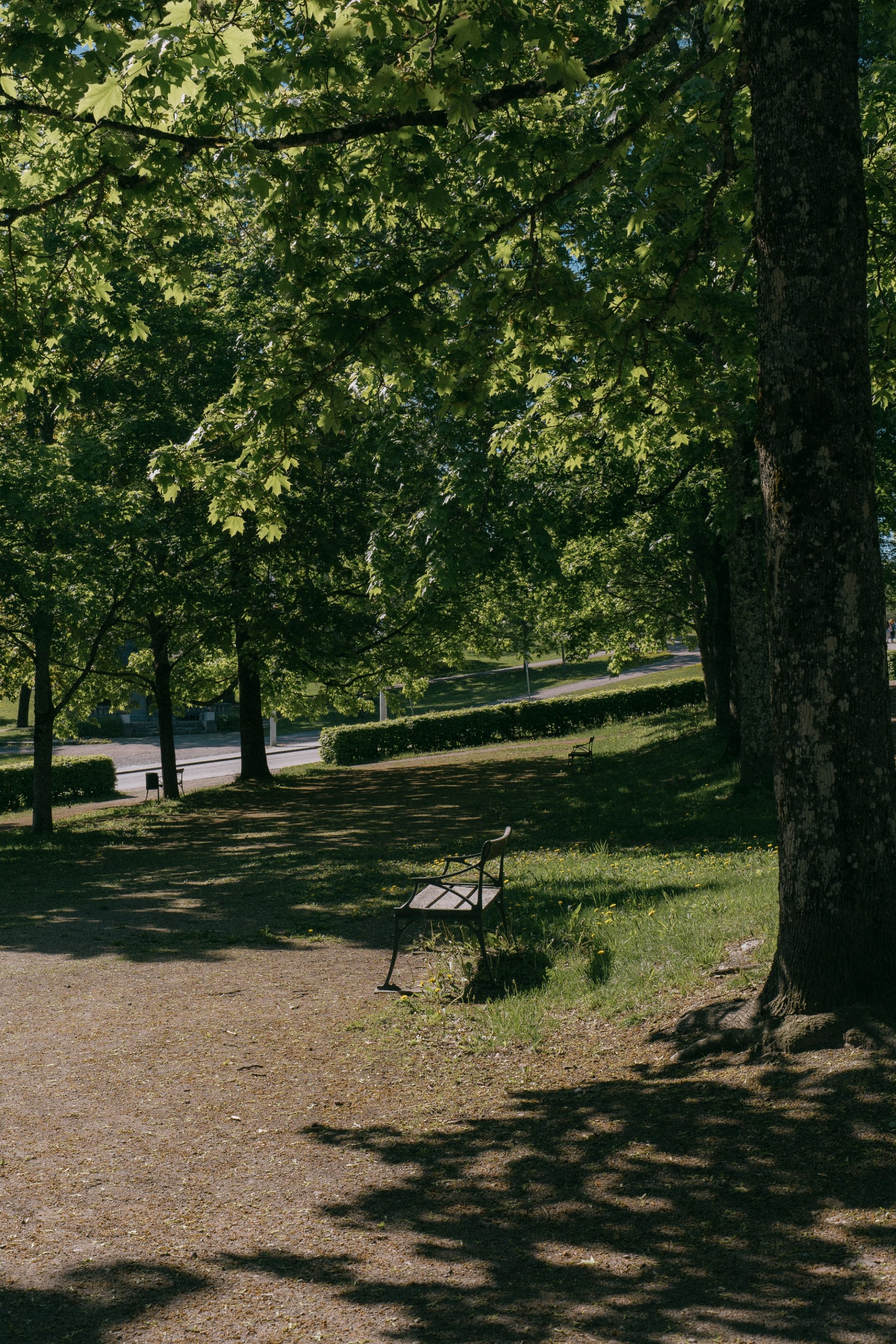 uppsala-17