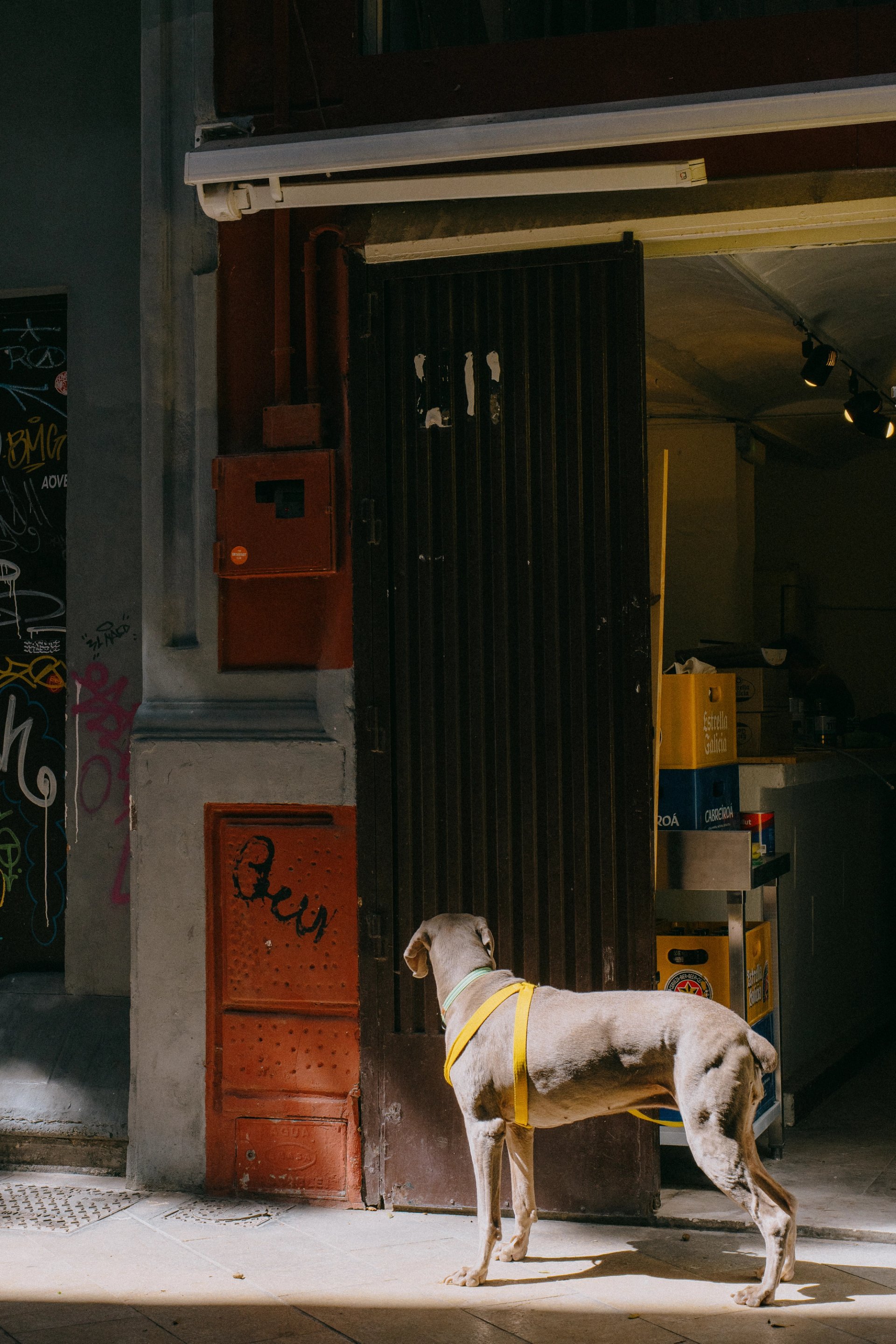 malaga-29