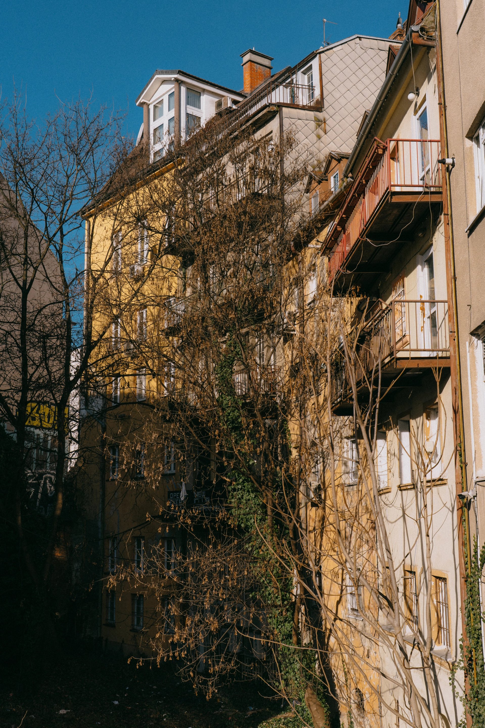 ozveny-korza-3