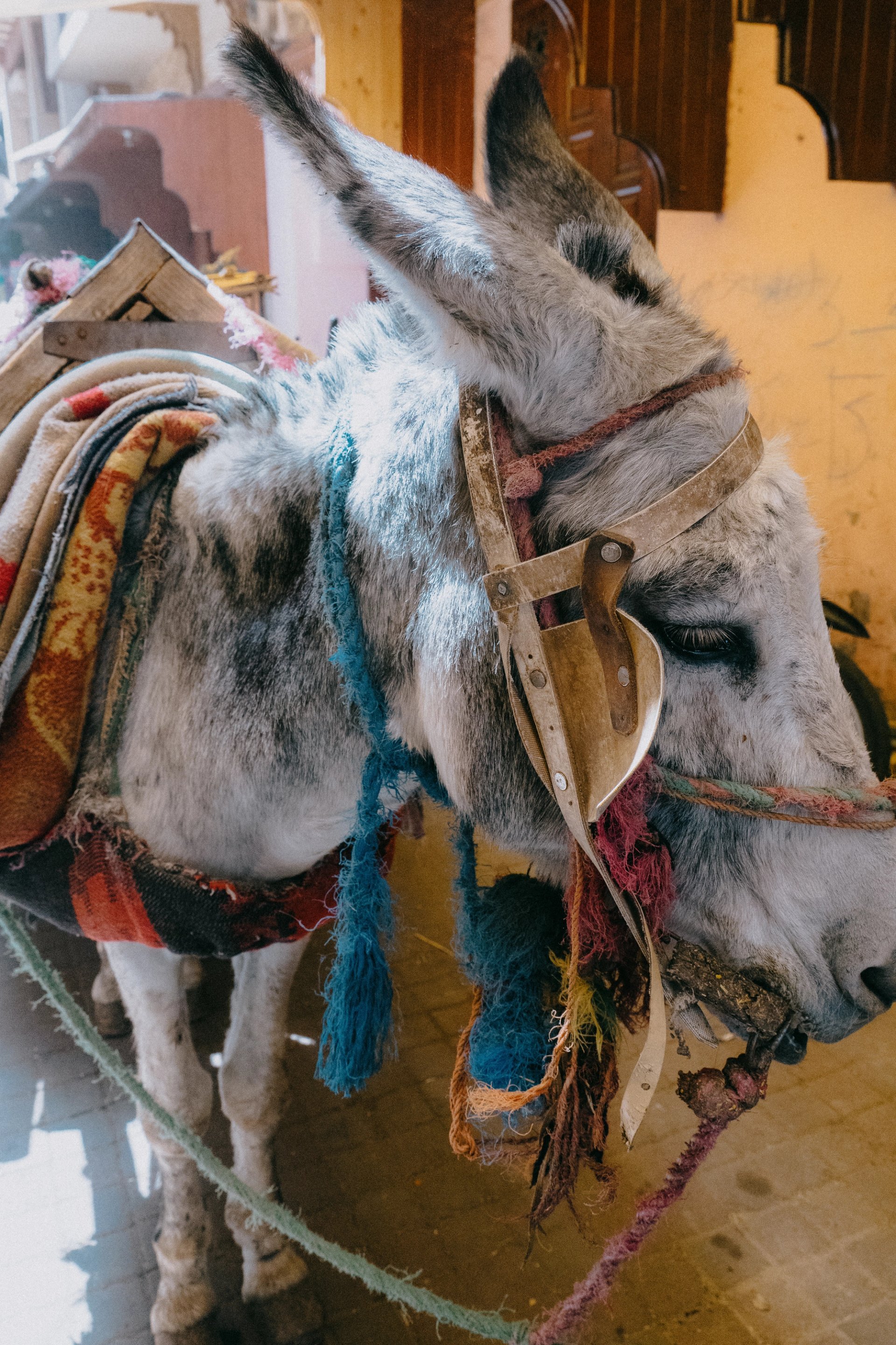 marrakesh-19