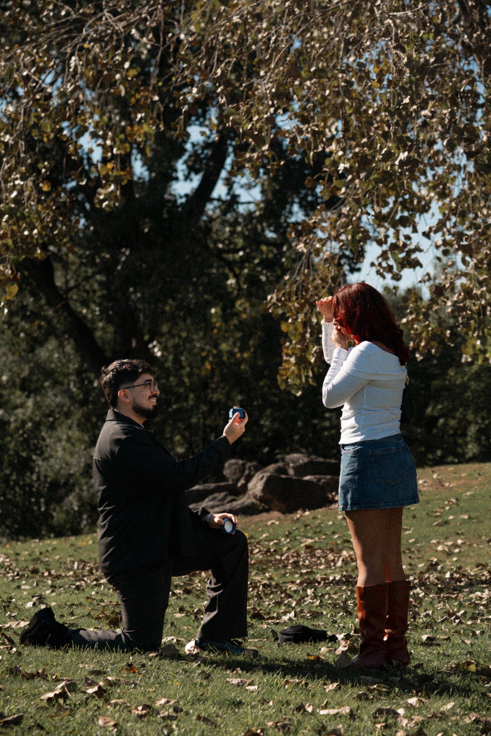gio-proposal-1