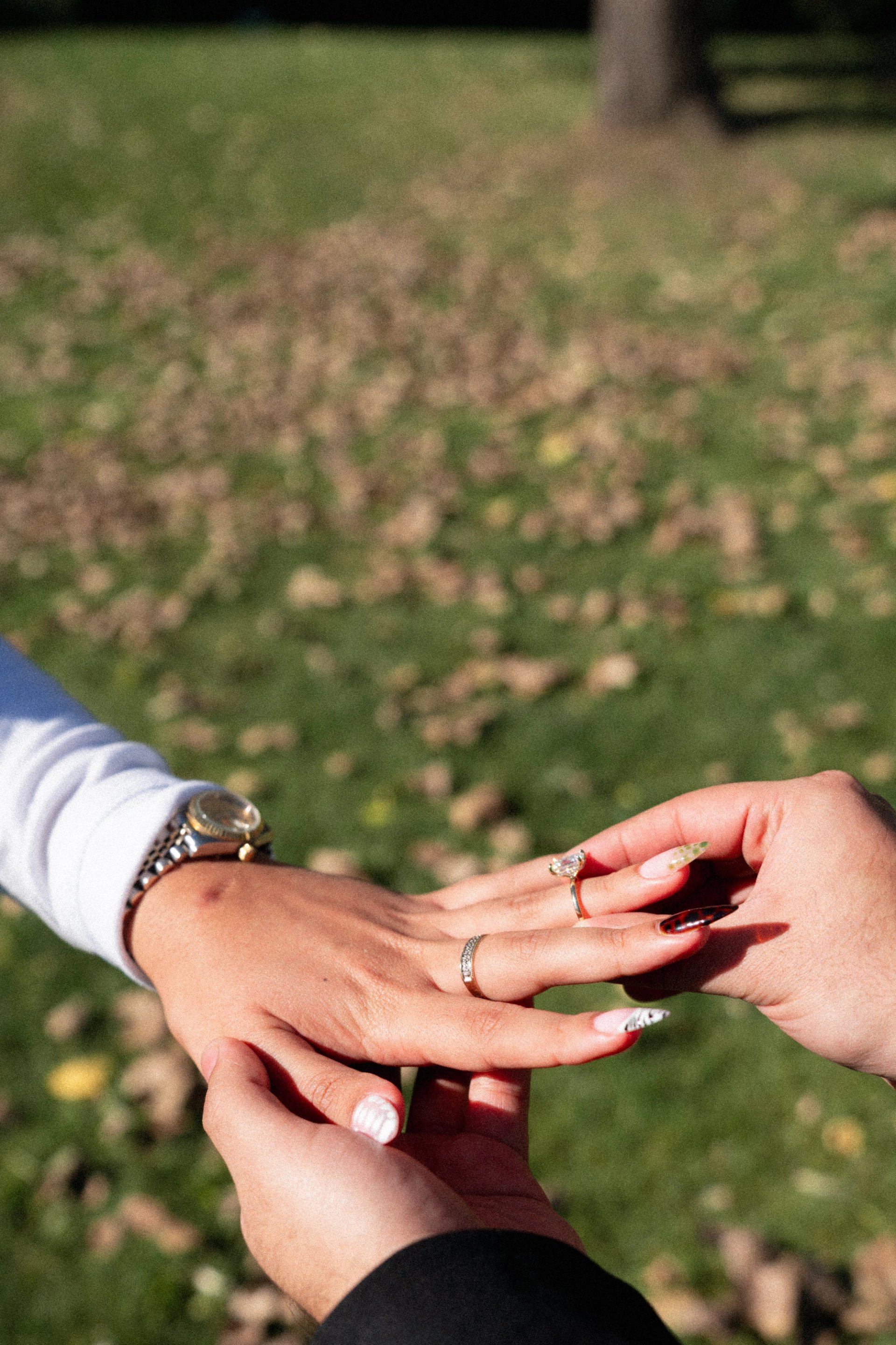 gio-proposal-4