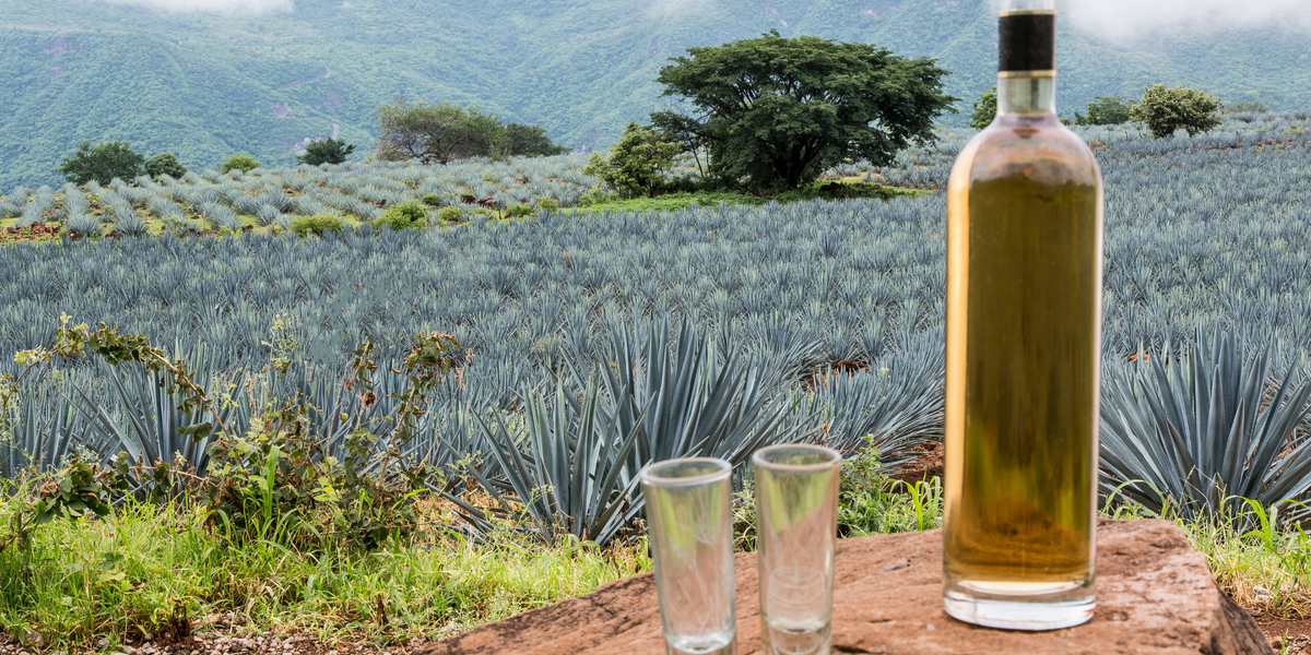 tequila-exportaciones