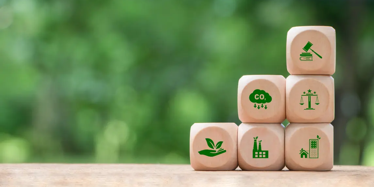 dia mundial del medio ambiente