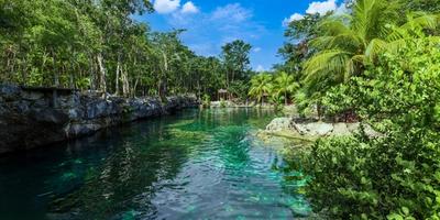 Naturaleza y el tren maya