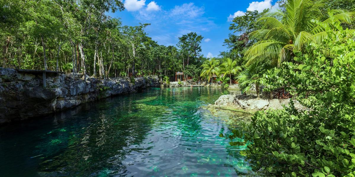 Naturaleza y el tren maya