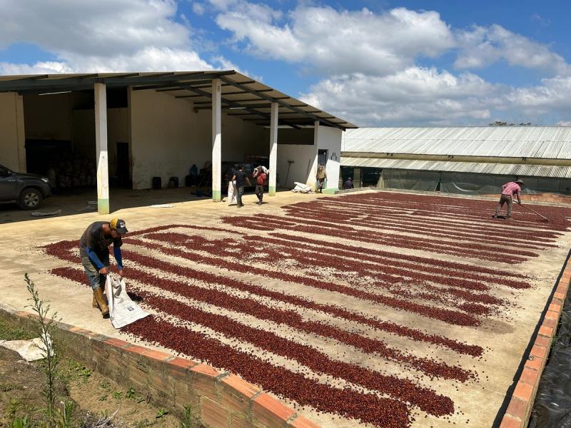 Drying patio at Hacienda El Rodeo