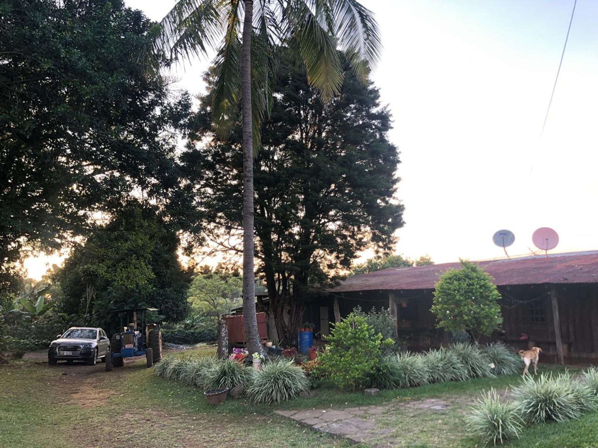 Ein historisches Zedernhaus ist das Betriebszentrum des Fincas