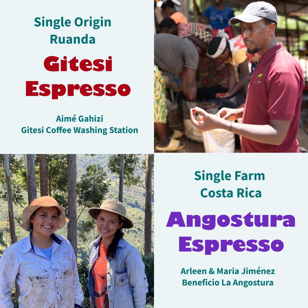 zwei 350-g-Päckchen geröstete Kaffeebohnen für Espresso von warawul coffee