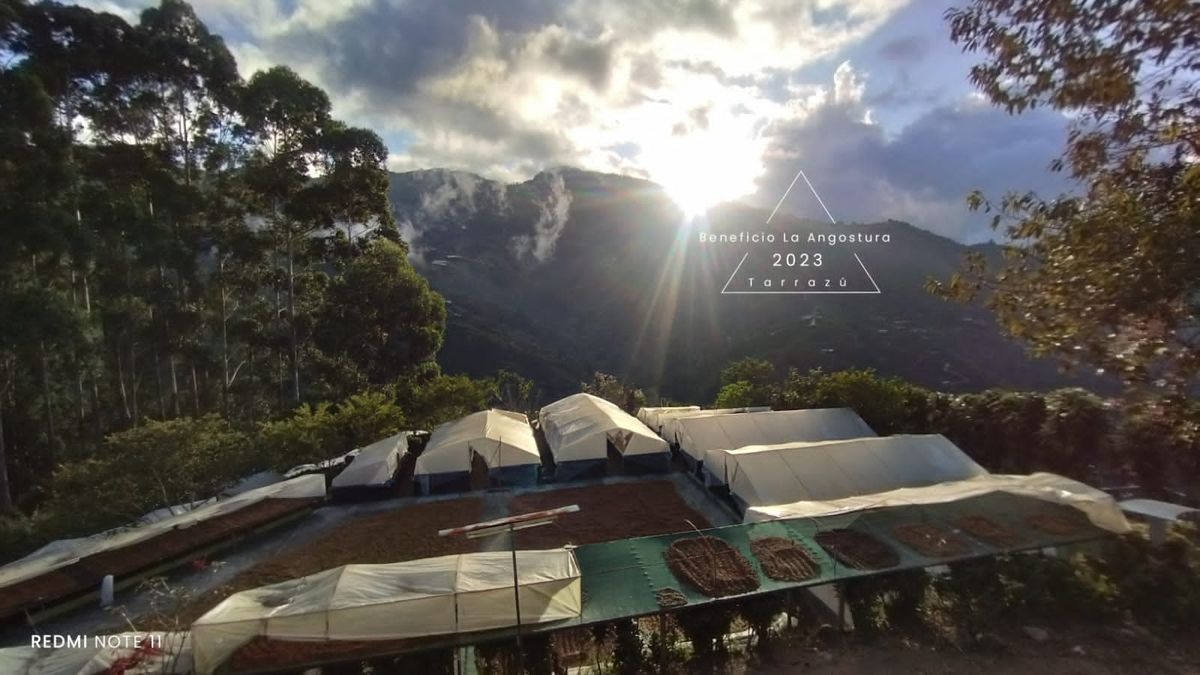 Beneficio La Angostura Leon Cortes in Costa Rica