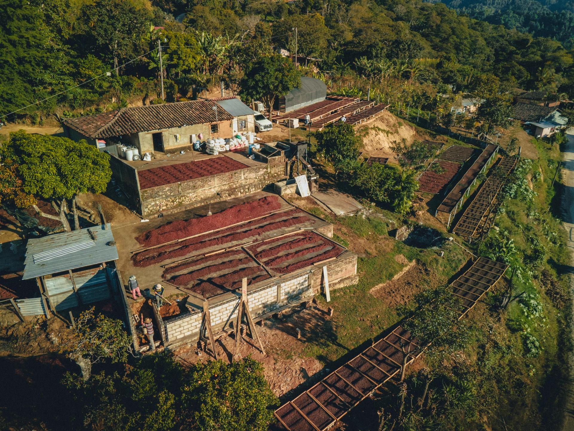 Die Finca Cascaritas in Honduras