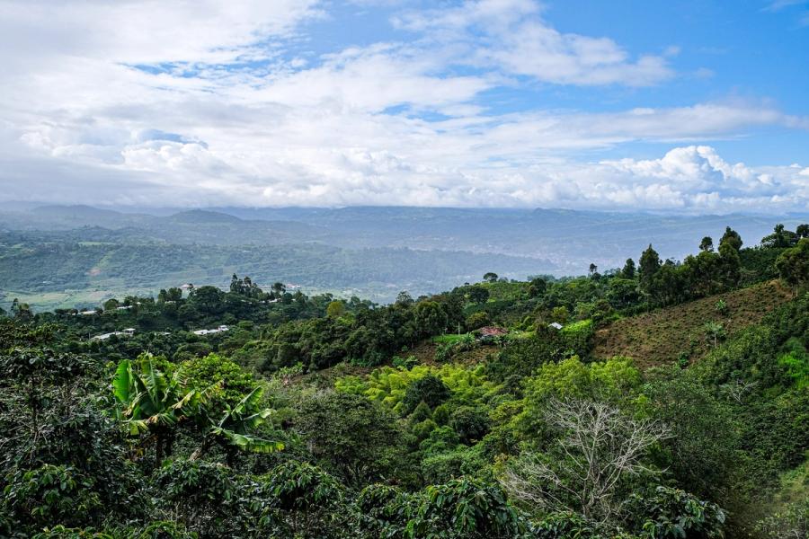View to Las Juntas in San Agustin
