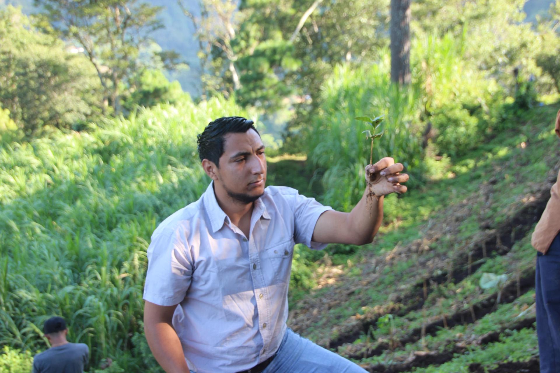 Hidardo Hernández