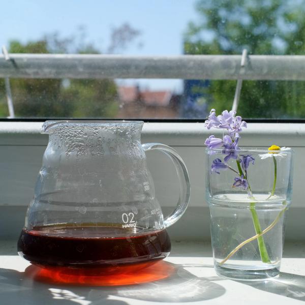 Cascaritas Natural im Hario Range Server