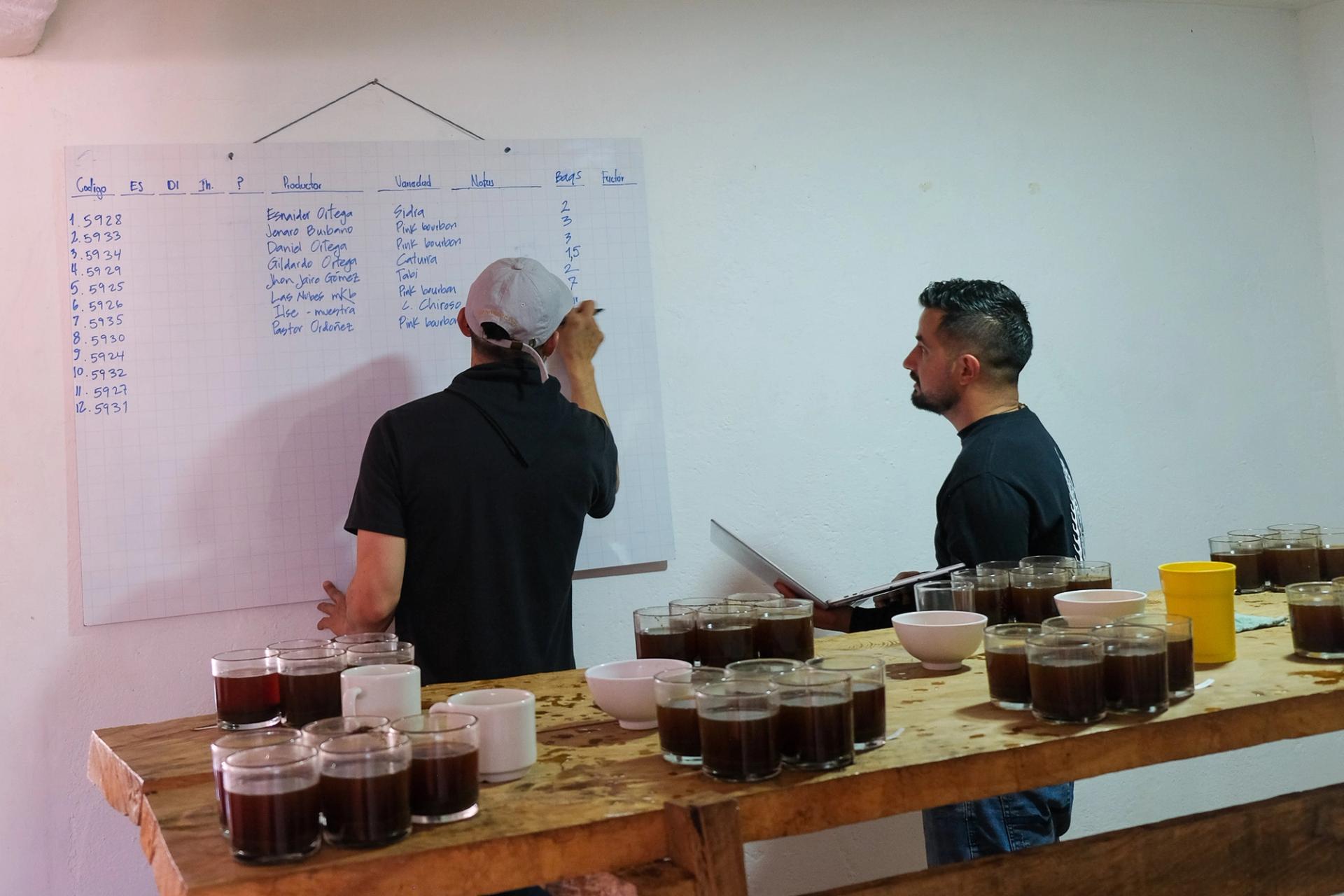 coffee drying