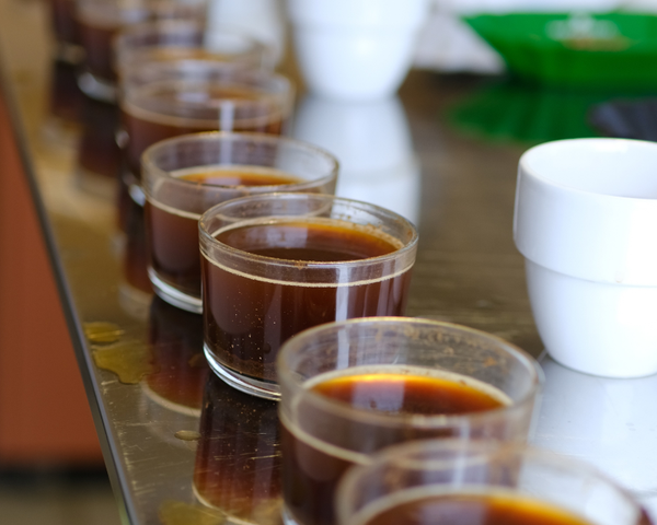 Kaffeeverkostung zur Qualitätsbewertung