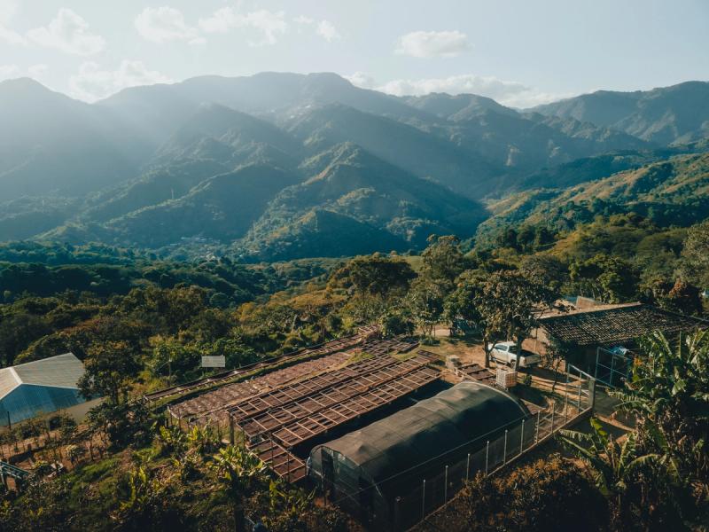 Die Finca Cascaritas in Honduras