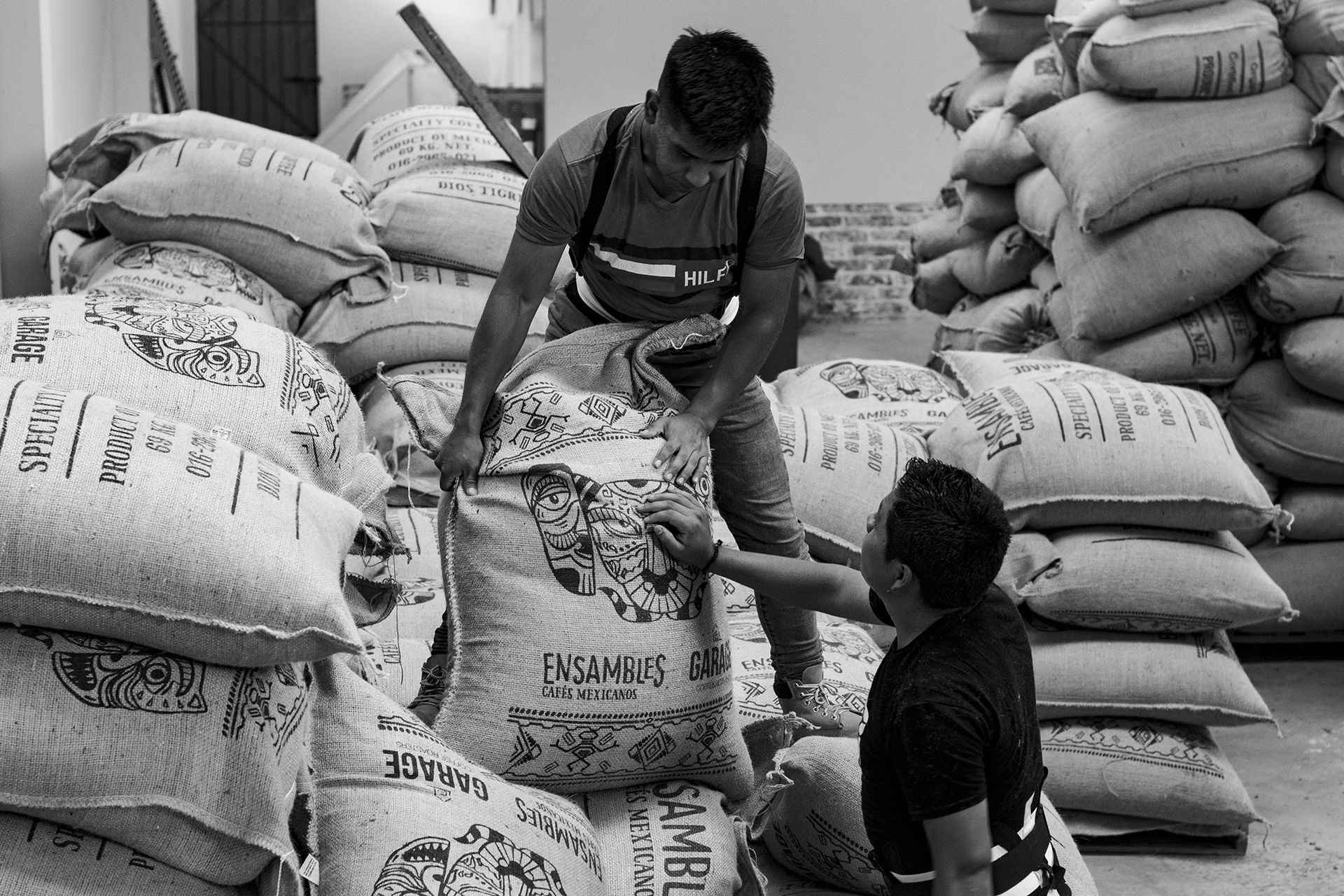 Ensambles Cafés Mexicanos