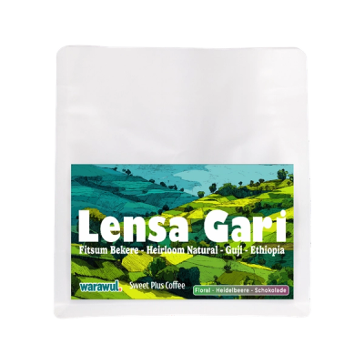 Lensa Gari
