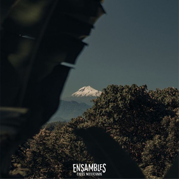 Mountain Water entkoffeinierter Kaffee