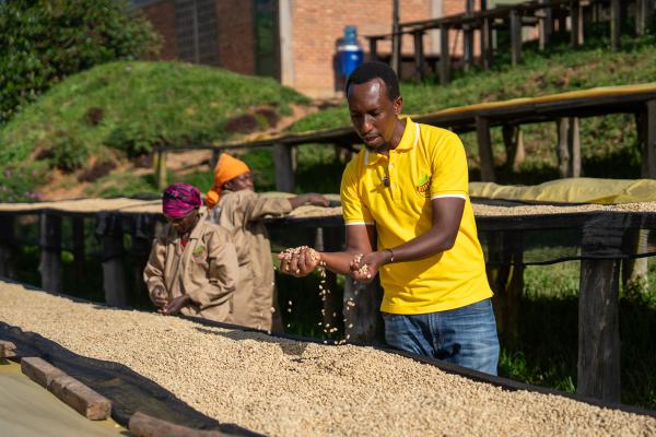 Aimé Dusabe Gahizi at Gitesi Coffee Washing Station