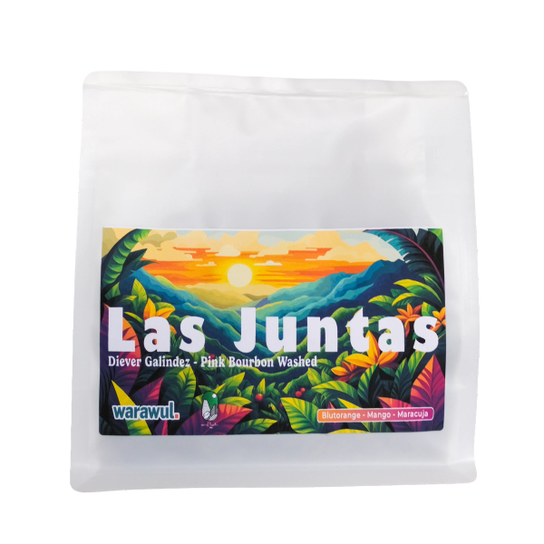 Kolumbien Pink Bourbon aus monKaaba