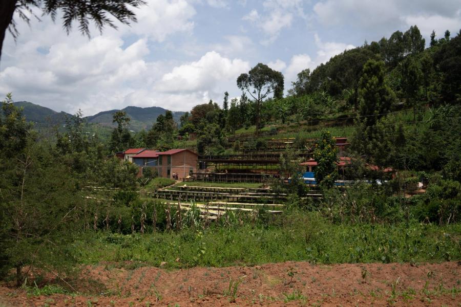 The Gitesi Washing Station