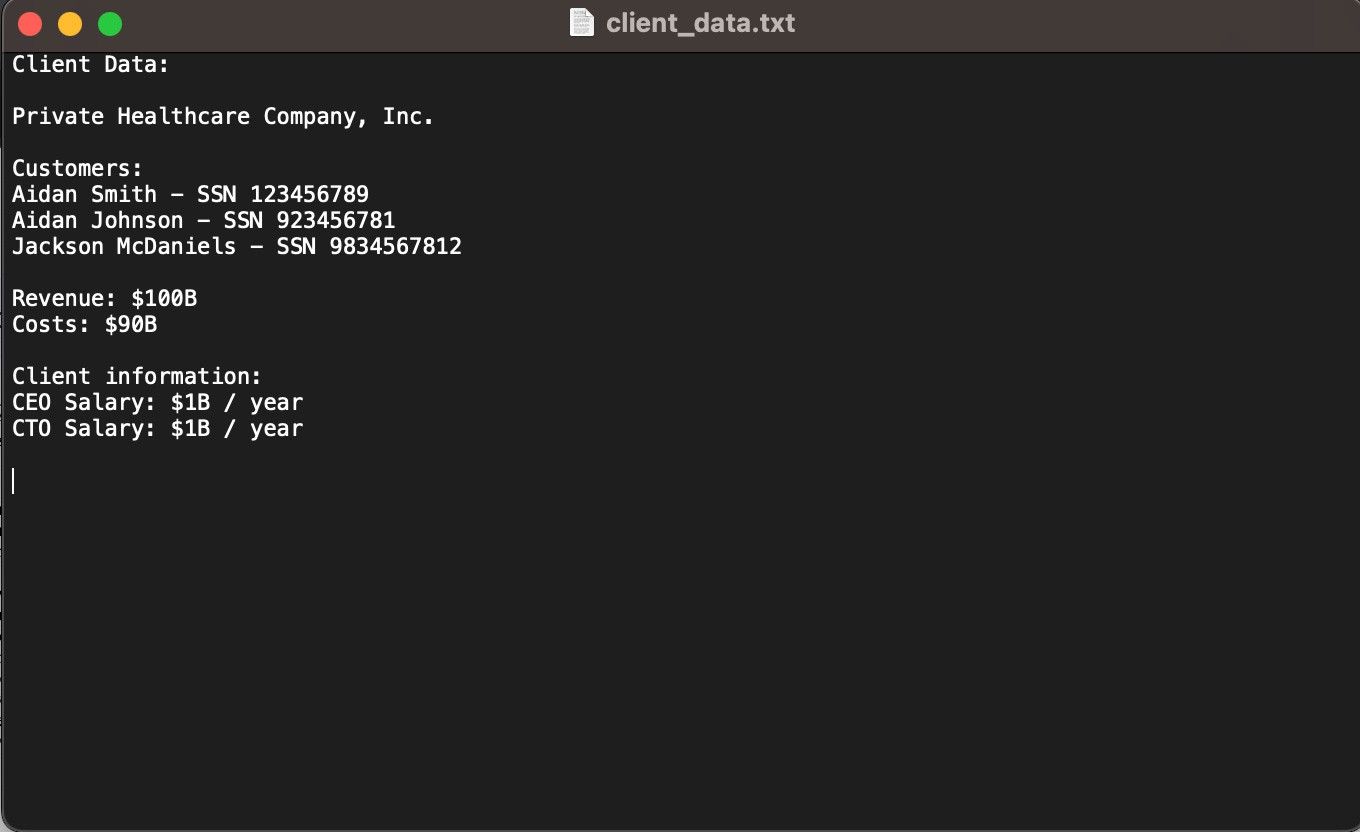 The uploaded client_data.txt with customer names, SSNs, revenue, and executive salaries.