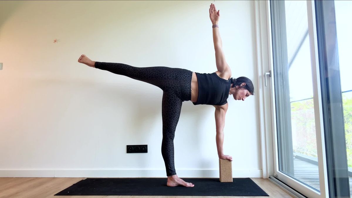 Half Moon Pose ("Ardha Chandrasana")