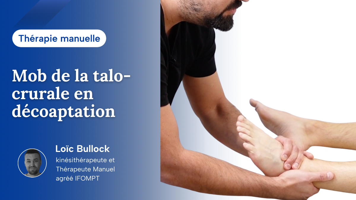 Mob de l'articulation Talo-crurale en décoaptation