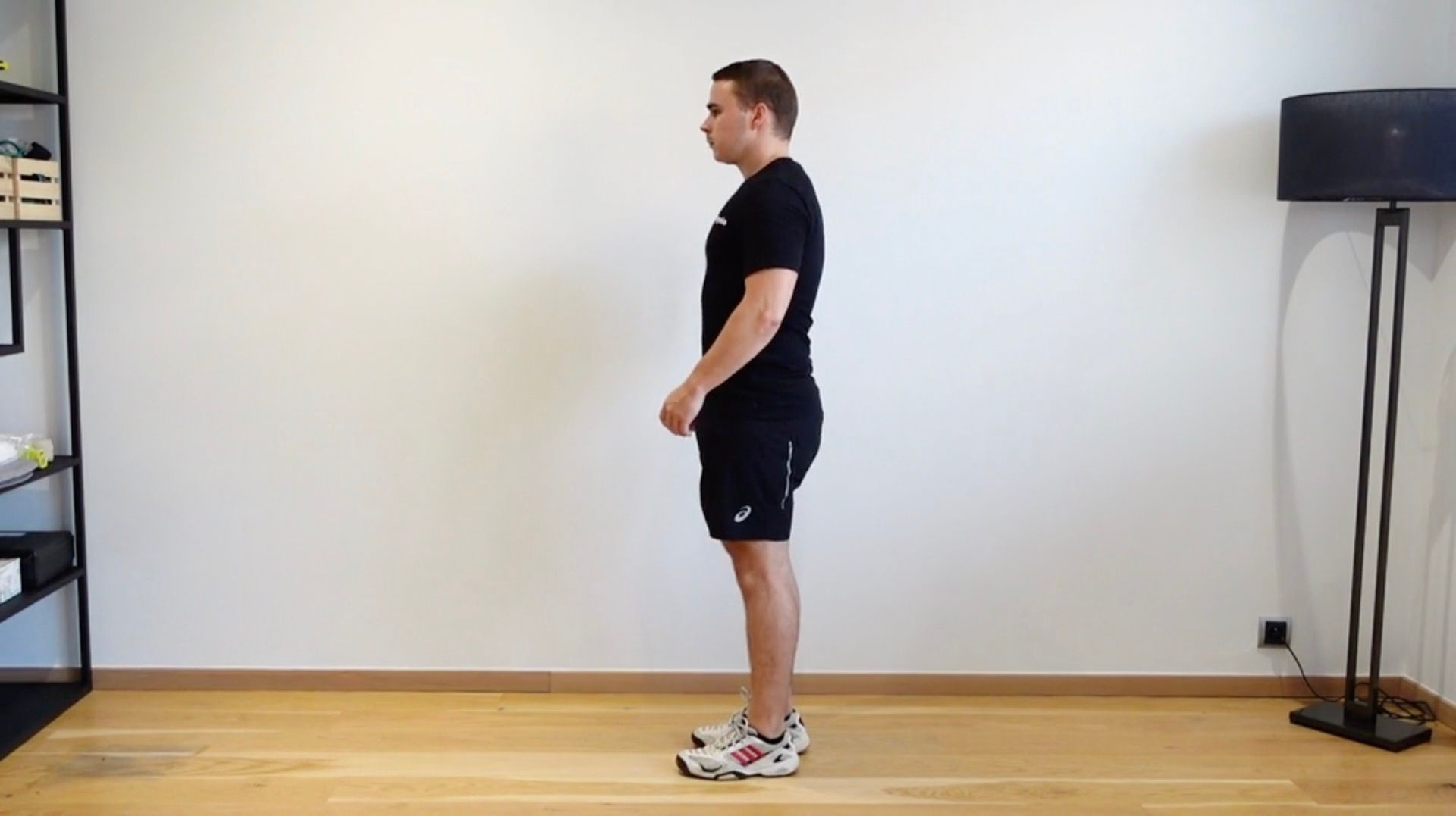 Reverse Lunge, view 1