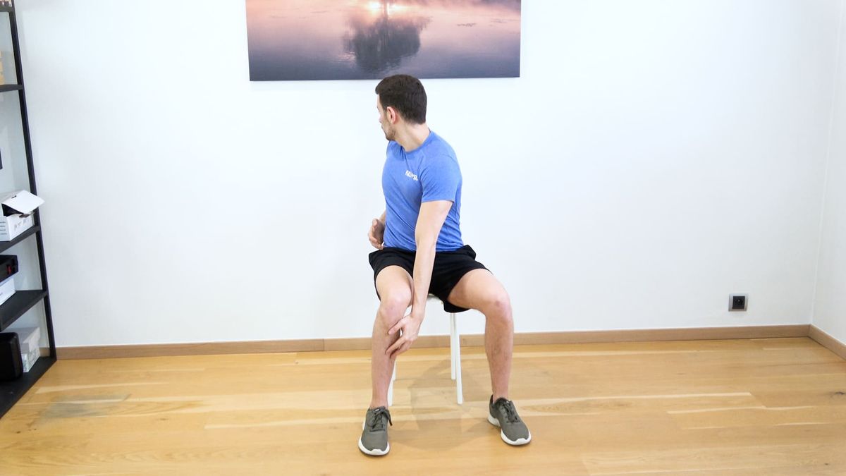 Seated Chest Rotations