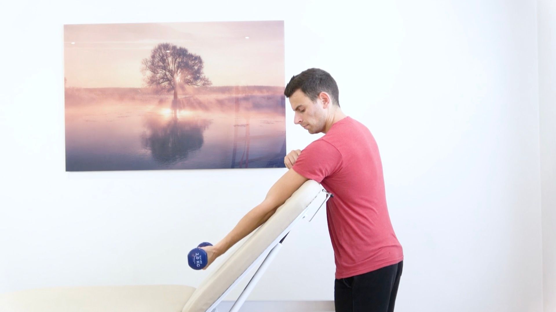 Elbow Flexor Strengthening, view 1