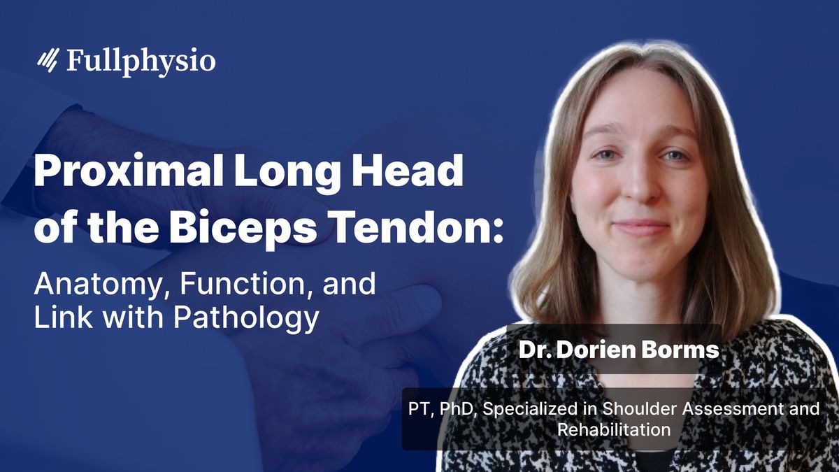 Proximal Long Head of the Biceps Tendon