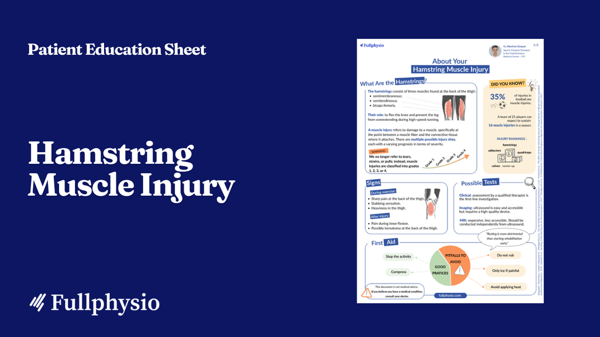 Patient Education – Hamstring Muscle Injury