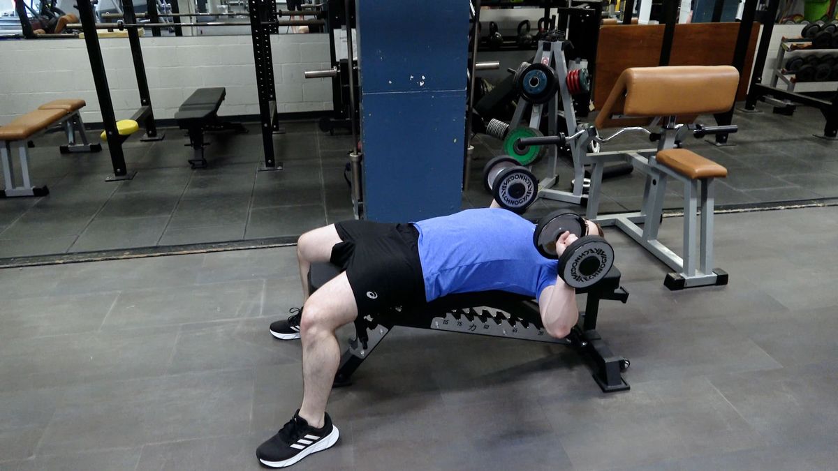 Dumbbell Press on Bench