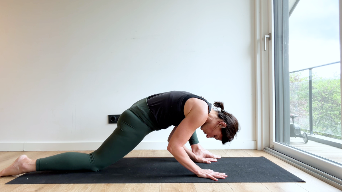 Posture du lézard (« Utthan Pristhasana »)