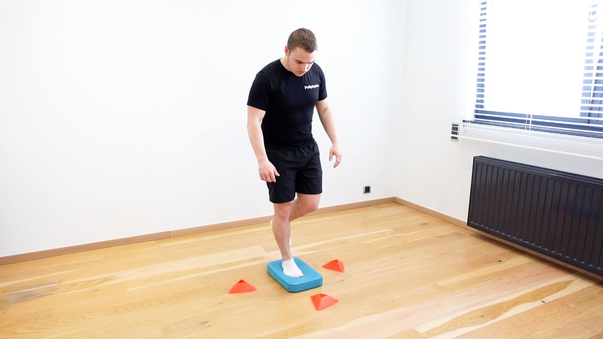Dynamic Lower Limb Proprioception