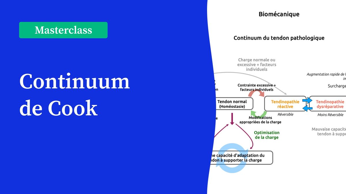 Le Continuum de Cook