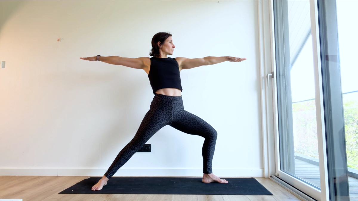 Warrior Pose Variation ("Virabhadrasana")