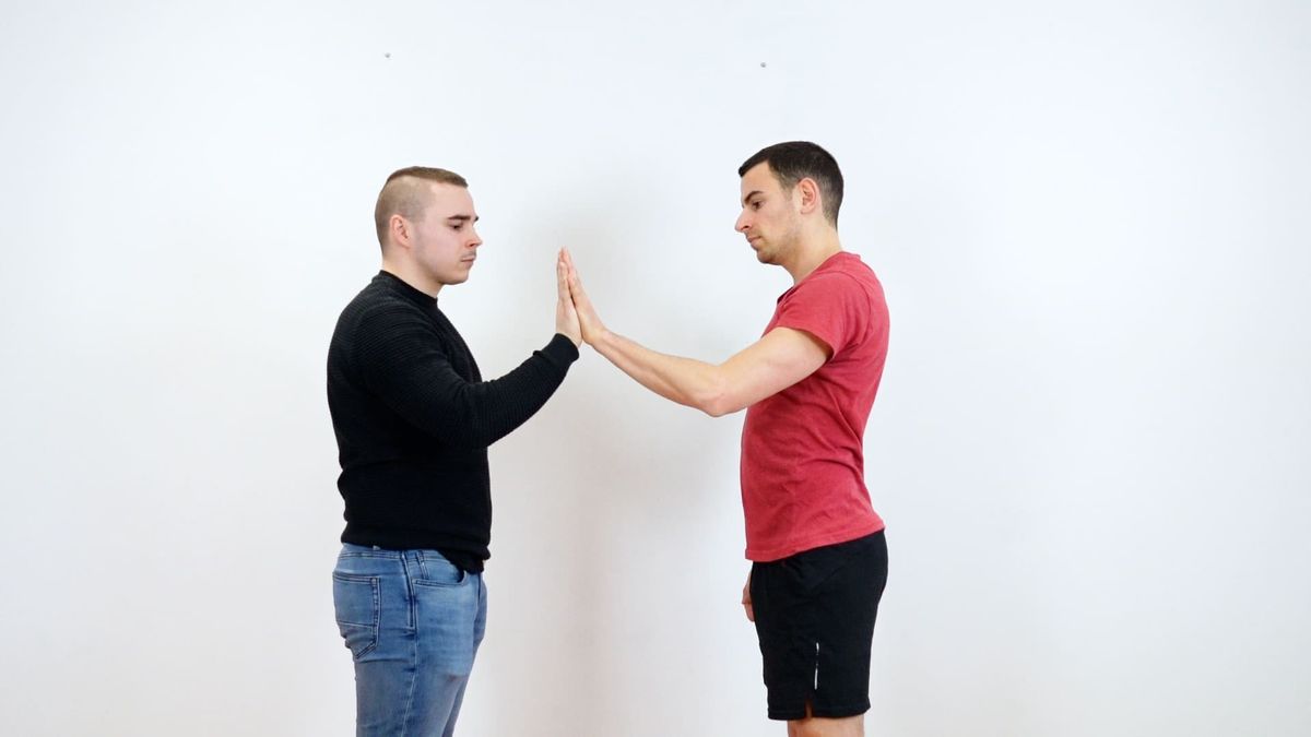 Hand-in-Hand Motor Control
