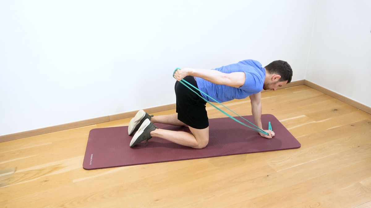 Renforcement triceps en position quadrupédique