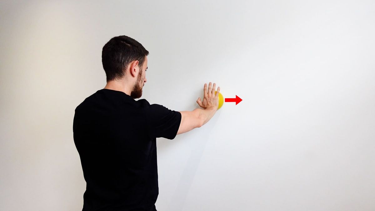 Renforcement dentelé antérieur isométrique