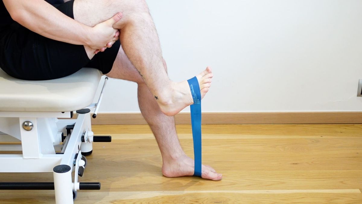Renforcement fléchisseurs dorsaux avec élastique