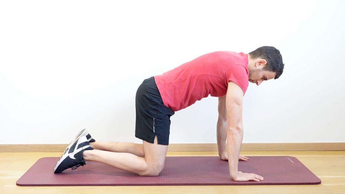 Serratus Anterior Strengthening in Quadruped Position