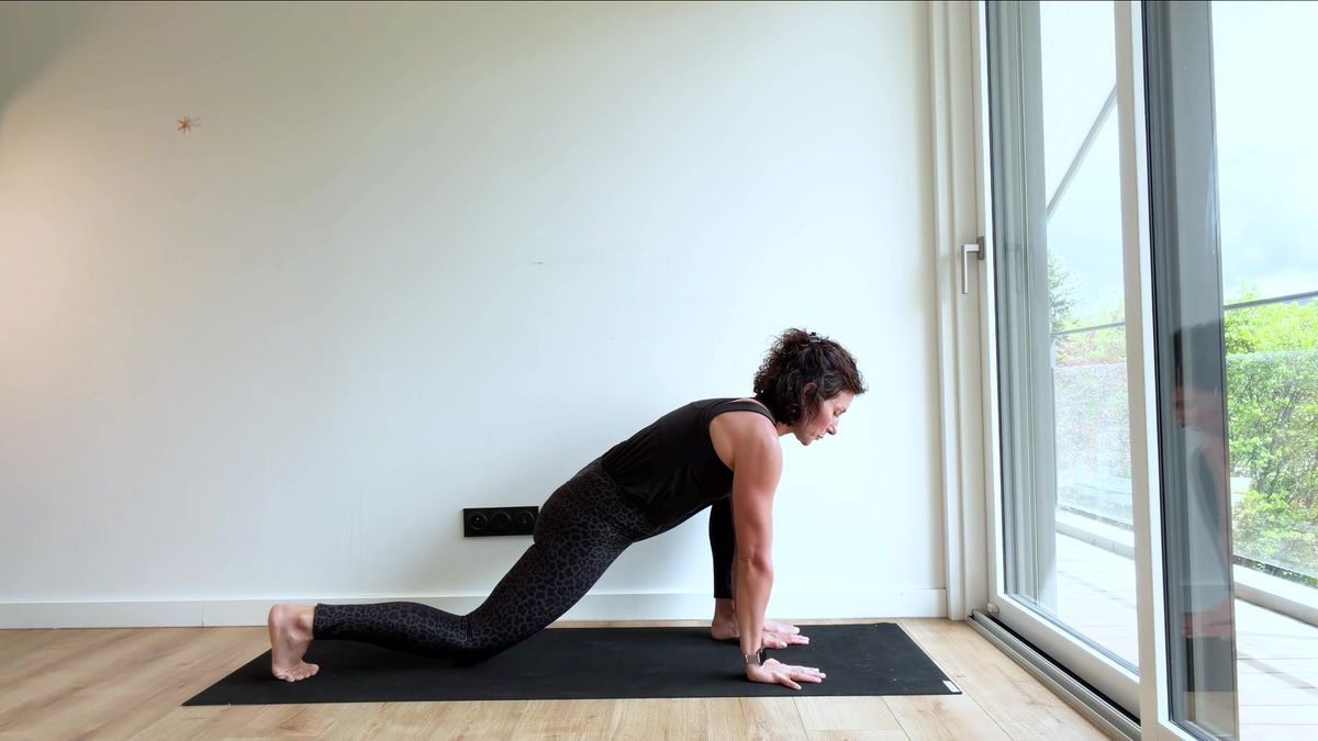 Hip Mobility Flow From Squat to Lizard