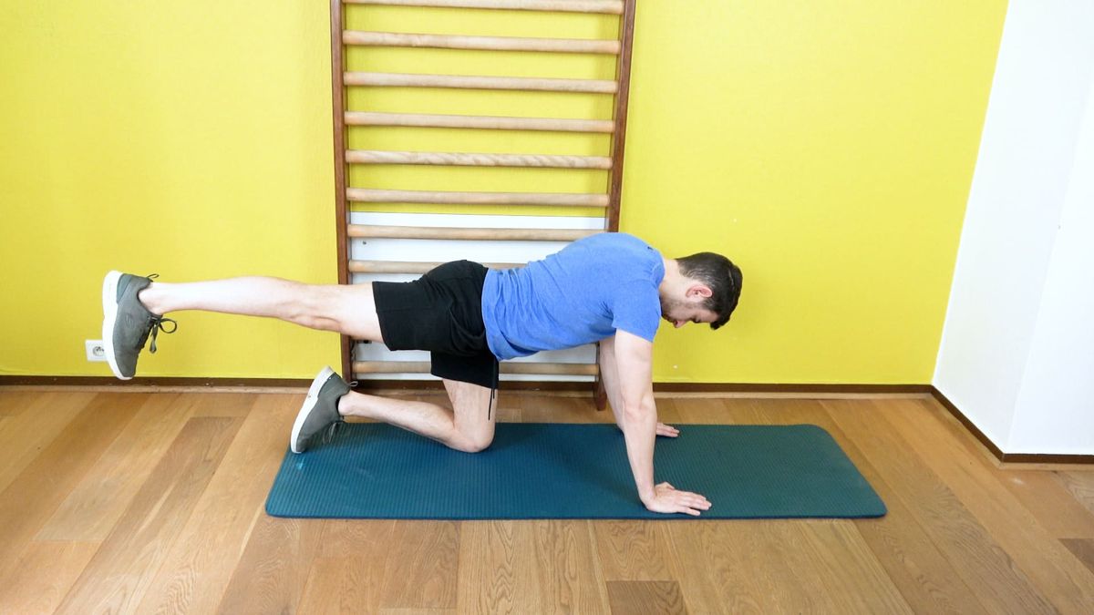Bird Dog With Single-Leg Lift