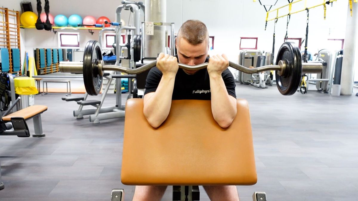 Barbell Biceps Curl