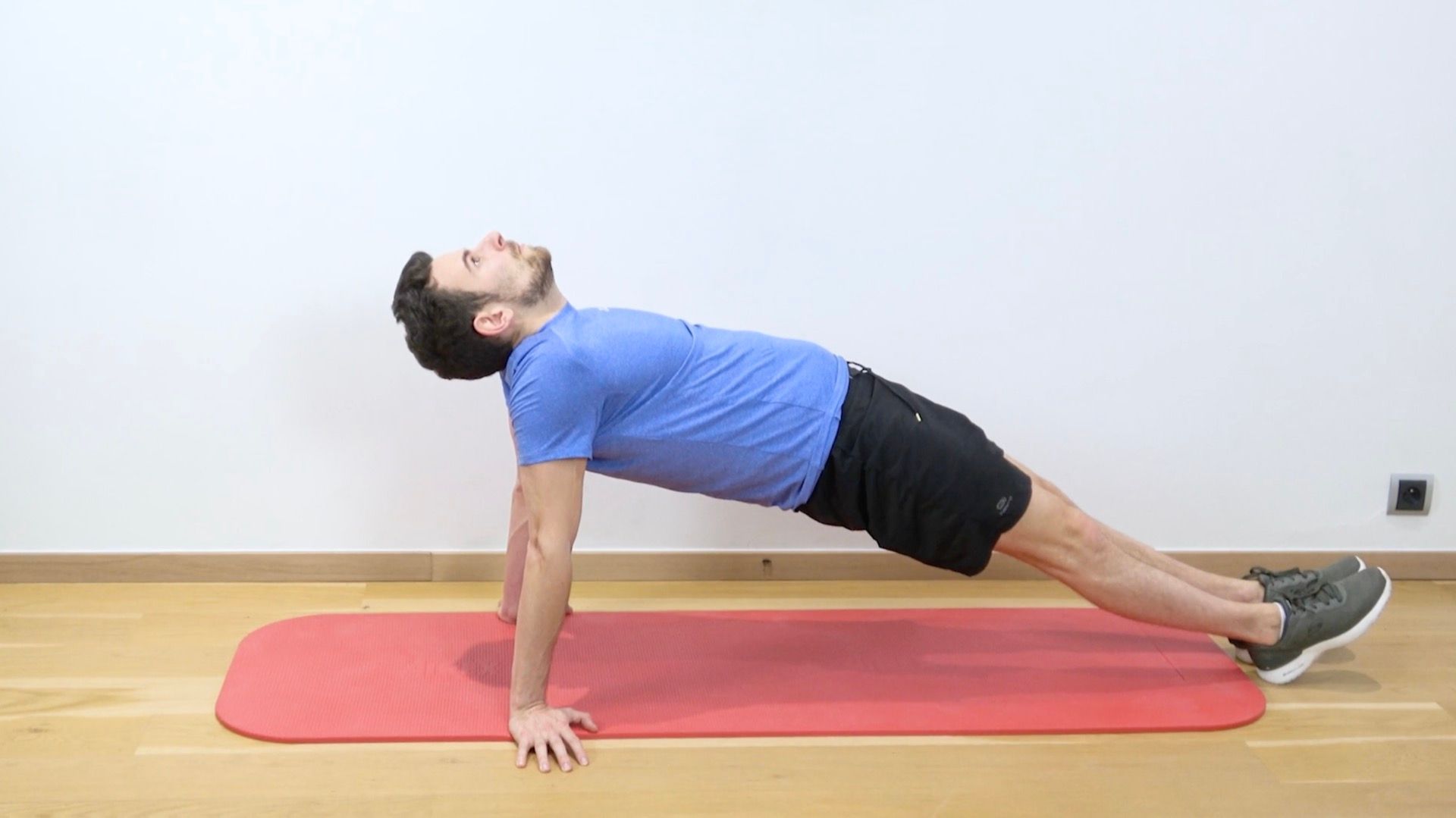 Reverse Plank
